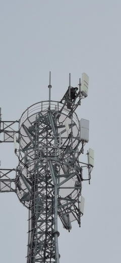 大雪時節，電信服務溫暖如約——記信息咨詢服務的堅守與溫度